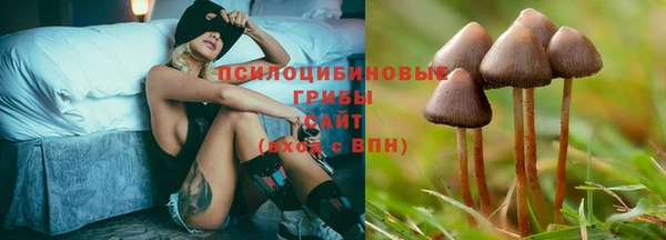 шишки Вязники