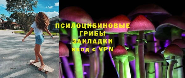 шишки Вязьма