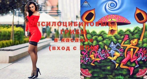 а пвп мука Верея