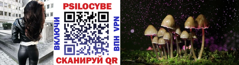 Купить закладки  Липки  Галлюциногенные грибы Psilocybe 